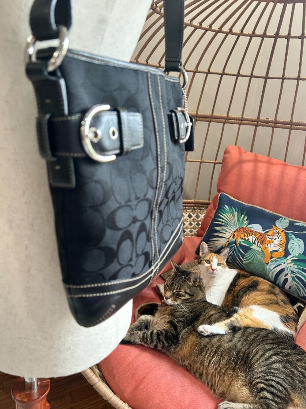 Coach Signature Shoulder Bag | Black Monogram Canvas Leather Buckle Accent - Picture 7 of 13